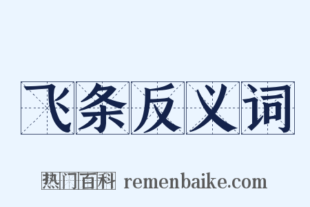 飞条反义词是什么意思的图片